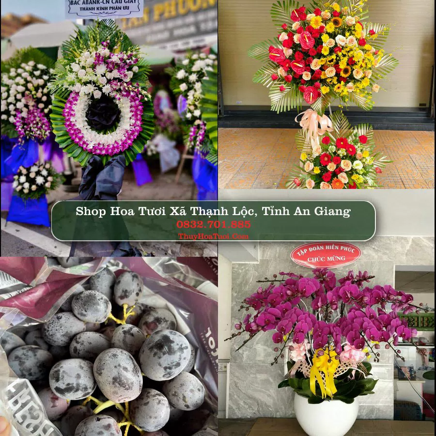 Shop Hoa Tươi Xã Thạnh Lộc - Tỉnh An Giang