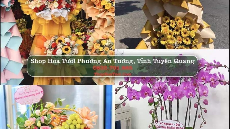Shop Hoa Tươi Phường An Tường - Tỉnh Tuyên Quang