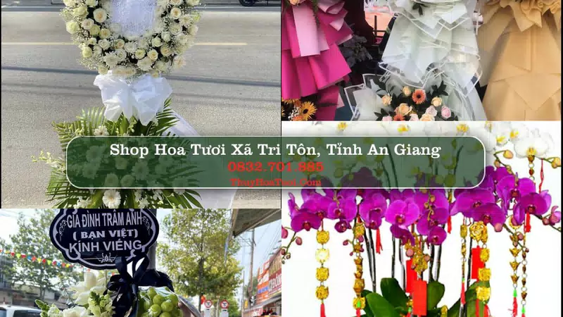 Shop Hoa Tươi Xã Tri Tôn - Tỉnh An Giang