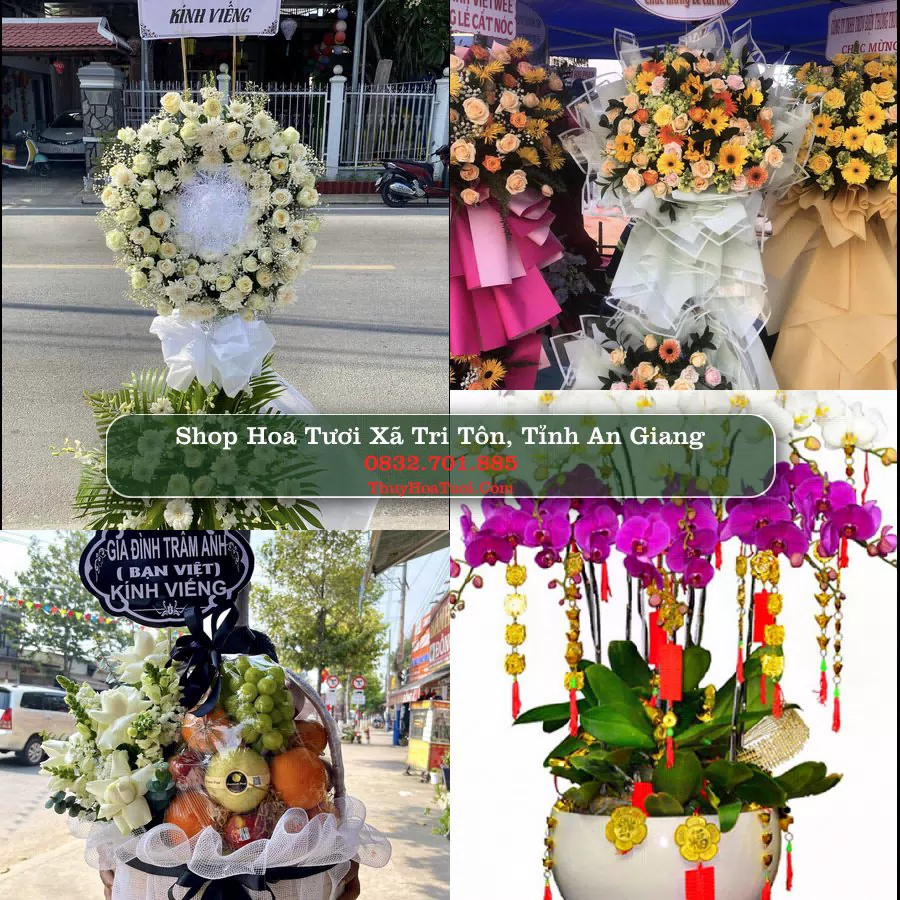 Shop Hoa Tươi Xã Tri Tôn - Tỉnh An Giang