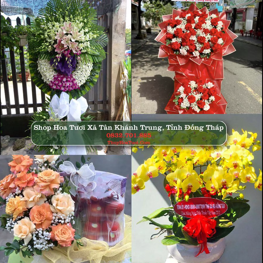 Shop Hoa Tươi Xã Tân Khánh Trung - Tỉnh Đồng Tháp