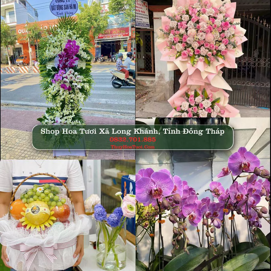 Shop Hoa Tươi Xã Long Khánh - Tỉnh Đồng Tháp