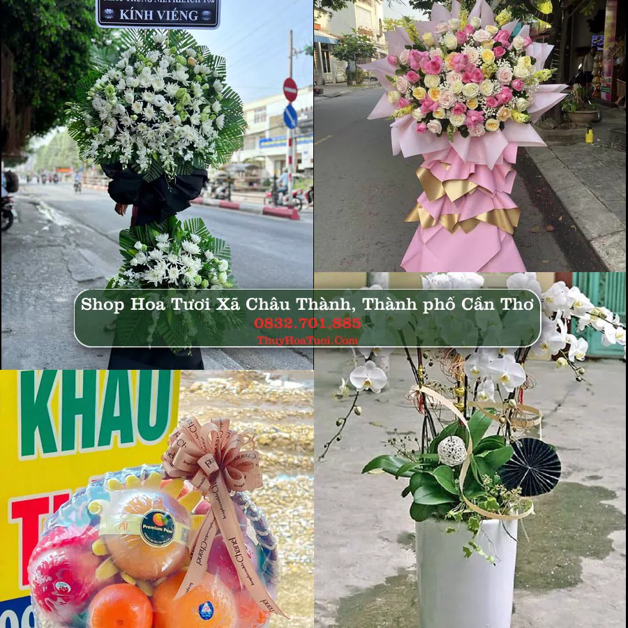 Shop Hoa Tươi Xã Châu Thành - Thành phố Cần Thơ