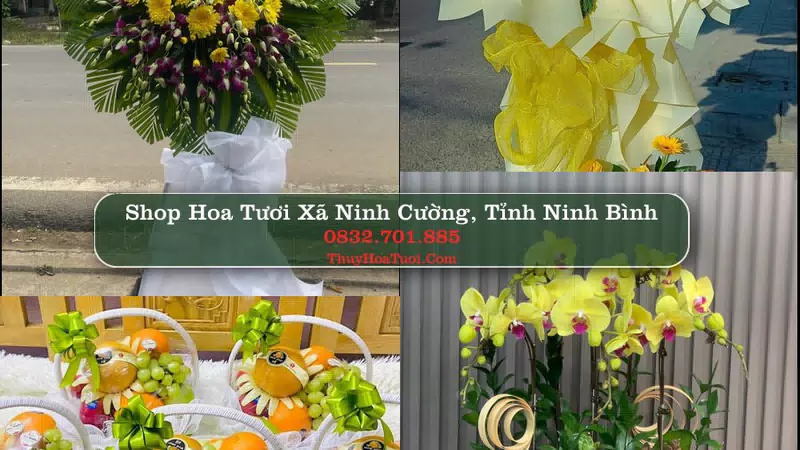 Shop Hoa Tươi Xã Ninh Cường - Tỉnh Ninh Bình