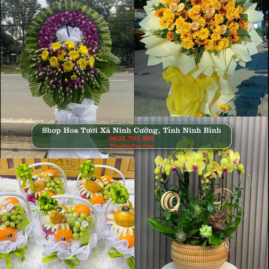 Shop Hoa Tươi Xã Ninh Cường - Tỉnh Ninh Bình