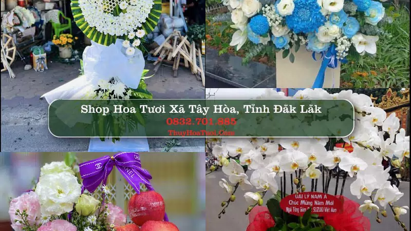 Shop Hoa Tươi Xã Tây Hòa - Tỉnh Đắk Lắk