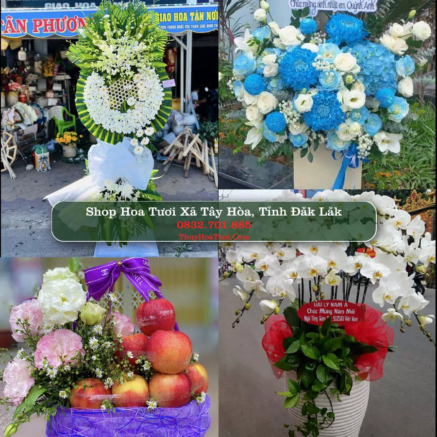 Shop Hoa Tươi Xã Tây Hòa - Tỉnh Đắk Lắk