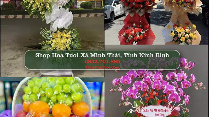Shop Hoa Tươi Xã Minh Thái - Tỉnh Ninh Bình