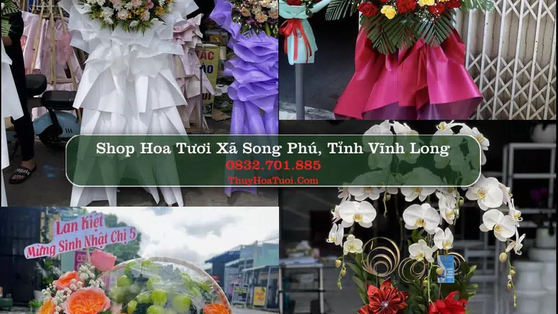 Shop Hoa Tươi Xã Song Phú - Tỉnh Vĩnh Long