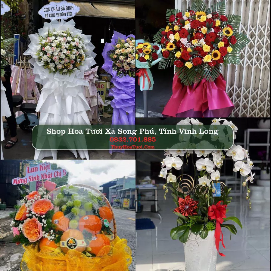 Shop Hoa Tươi Xã Song Phú - Tỉnh Vĩnh Long