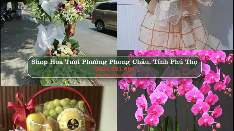 Shop Hoa Tươi Phường Phong Châu - Tỉnh Phú Thọ