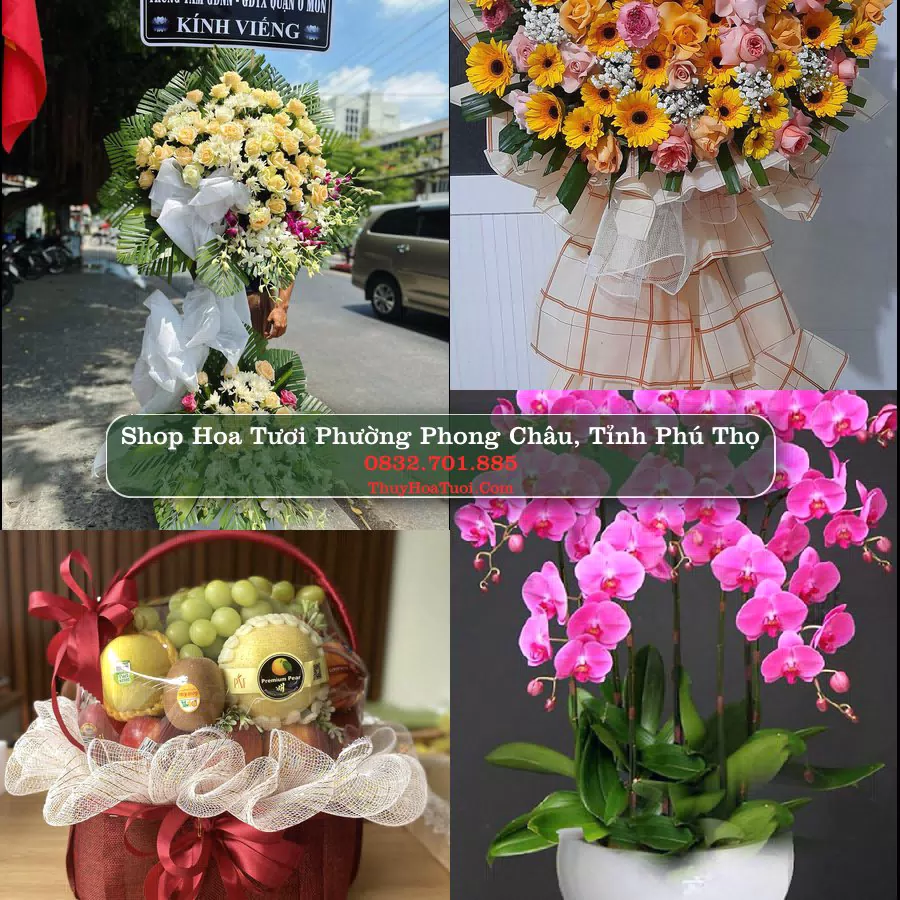 Shop Hoa Tươi Phường Phong Châu - Tỉnh Phú Thọ
