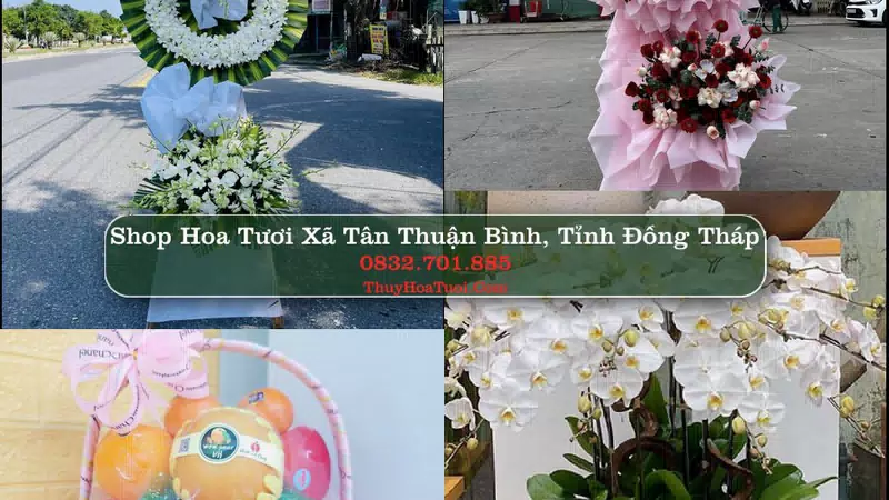 Shop Hoa Tươi Xã Tân Thuận Bình - Tỉnh Đồng Tháp