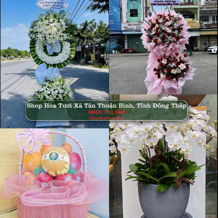 Shop Hoa Tươi Xã Tân Thuận Bình - Tỉnh Đồng Tháp