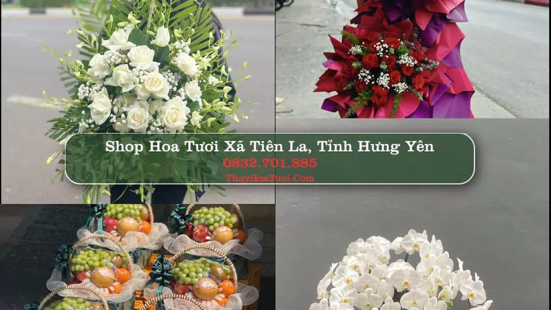 Shop Hoa Tươi Xã Tiên La - Tỉnh Hưng Yên