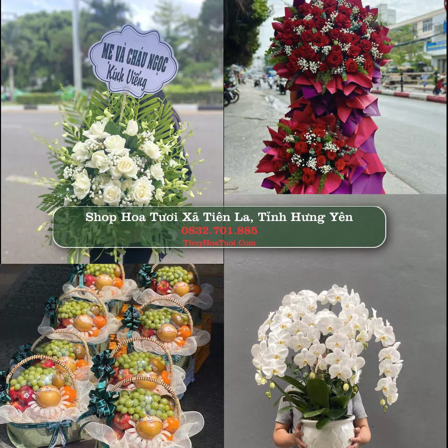 Shop Hoa Tươi Xã Tiên La - Tỉnh Hưng Yên