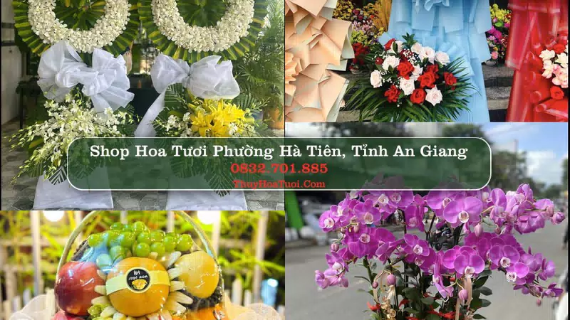 Shop Hoa Tươi Phường Hà Tiên - Tỉnh An Giang