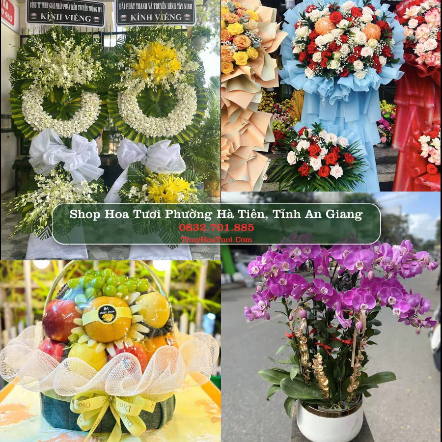 Shop Hoa Tươi Phường Hà Tiên - Tỉnh An Giang