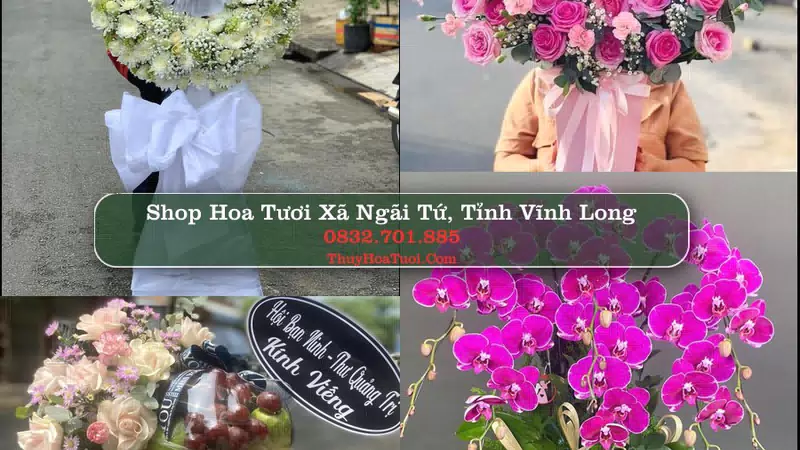 Shop Hoa Tươi Xã Ngãi Tứ - Tỉnh Vĩnh Long