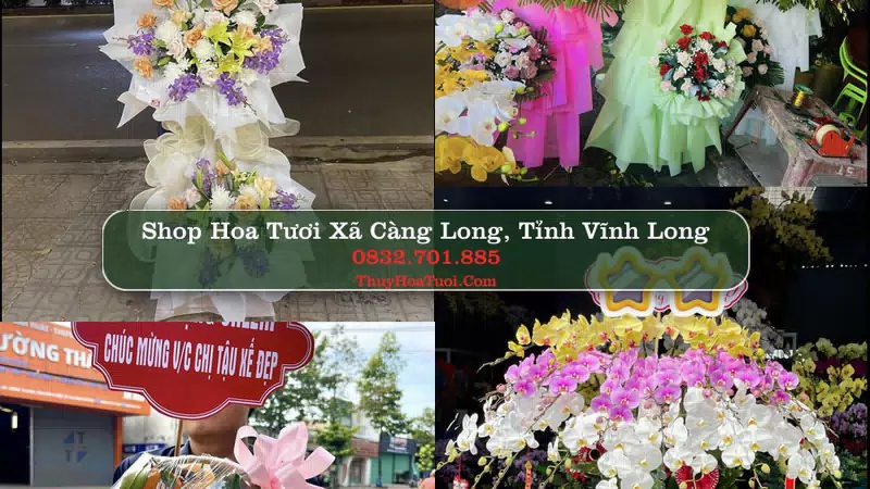 Shop Hoa Tươi Xã Càng Long - Tỉnh Vĩnh Long