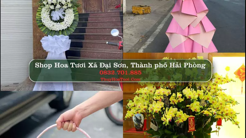 Shop Hoa Tươi Xã Đại Sơn - Thành phố Hải Phòng