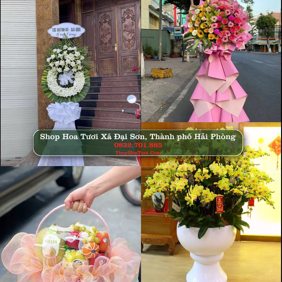 Shop Hoa Tươi Xã Đại Sơn - Thành phố Hải Phòng
