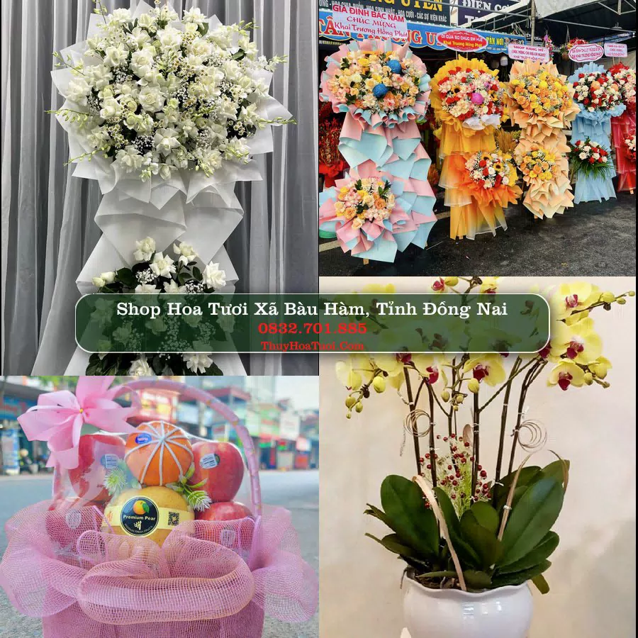 Shop Hoa Tươi Xã Bàu Hàm - Tỉnh Đồng Nai
