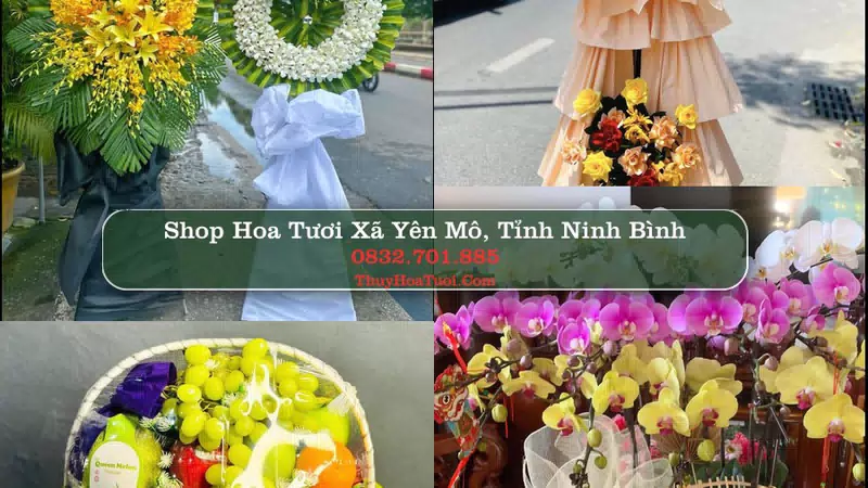 Shop Hoa Tươi Xã Yên Mô - Tỉnh Ninh Bình