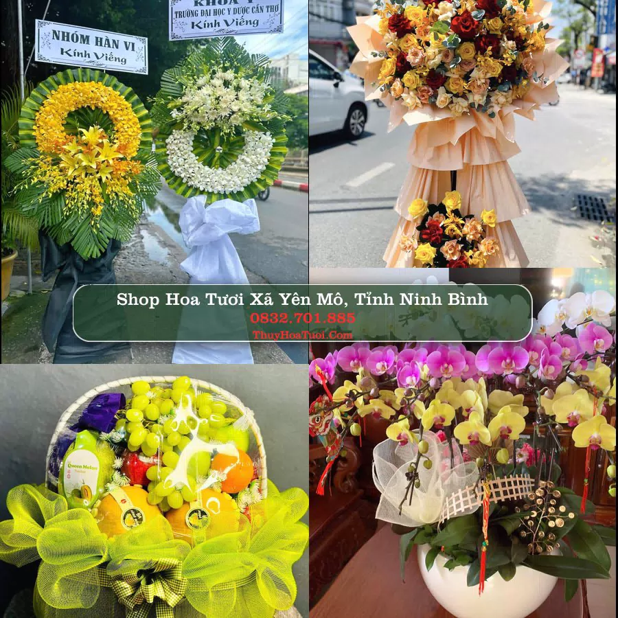 Shop Hoa Tươi Xã Yên Mô - Tỉnh Ninh Bình