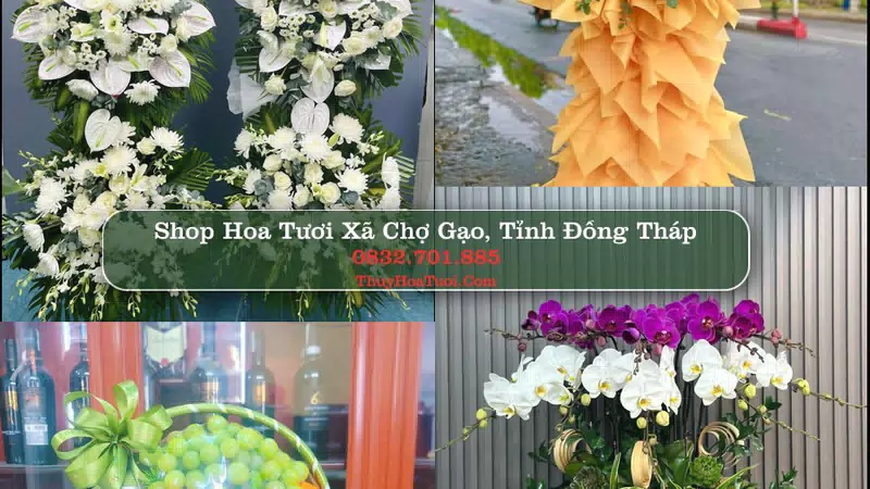 Shop Hoa Tươi Xã Chợ Gạo - Tỉnh Đồng Tháp