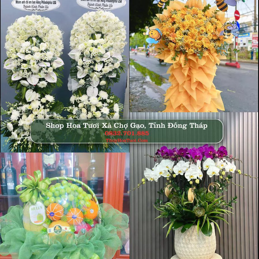 Shop Hoa Tươi Xã Chợ Gạo - Tỉnh Đồng Tháp