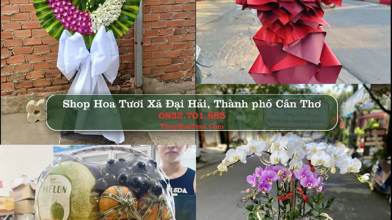 Shop Hoa Tươi Xã Đại Hải - Thành phố Cần Thơ