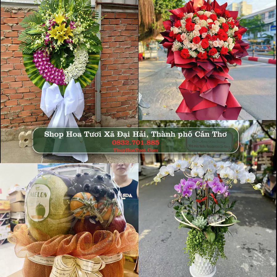 Shop Hoa Tươi Xã Đại Hải - Thành phố Cần Thơ