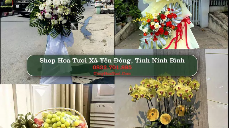 Shop Hoa Tươi Xã Yên Đồng - Tỉnh Ninh Bình