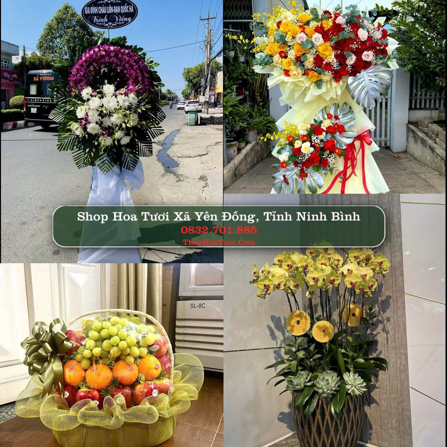Shop Hoa Tươi Xã Yên Đồng - Tỉnh Ninh Bình