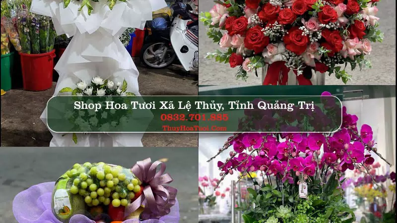 Shop Hoa Tươi Xã Lệ Thủy - Tỉnh Quảng Trị