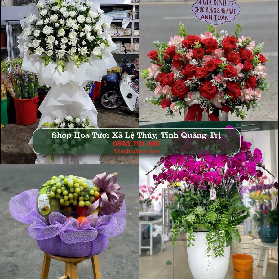 Shop Hoa Tươi Xã Lệ Thủy - Tỉnh Quảng Trị