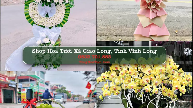 Shop Hoa Tươi Xã Giao Long - Tỉnh Vĩnh Long