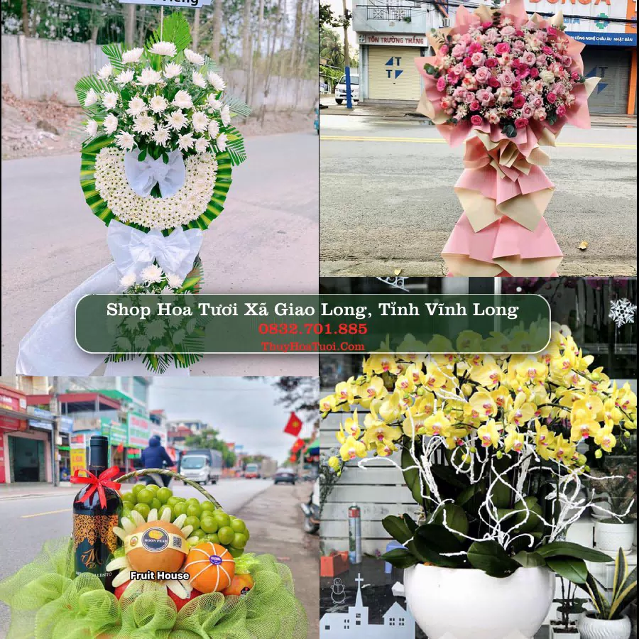 Shop Hoa Tươi Xã Giao Long - Tỉnh Vĩnh Long