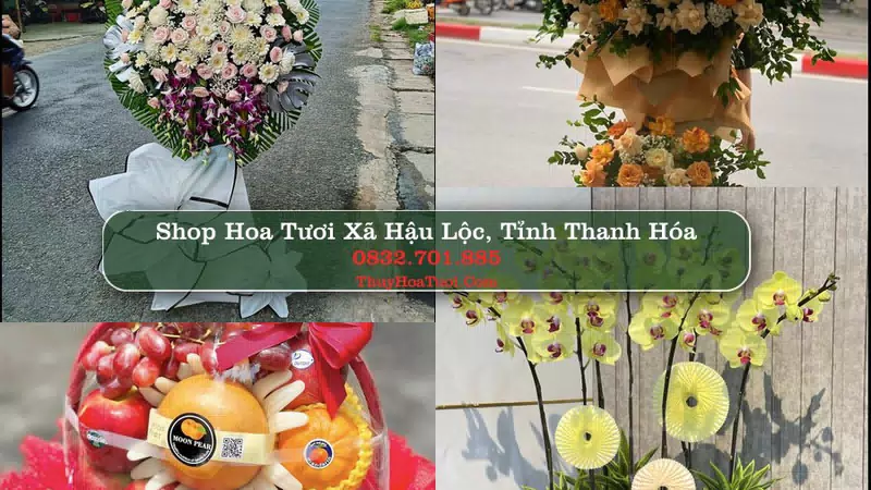Shop Hoa Tươi Xã Hậu Lộc - Tỉnh Thanh Hóa