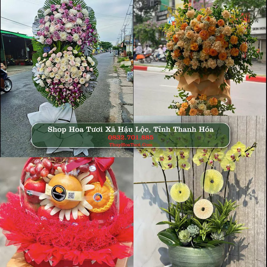 Shop Hoa Tươi Xã Hậu Lộc - Tỉnh Thanh Hóa