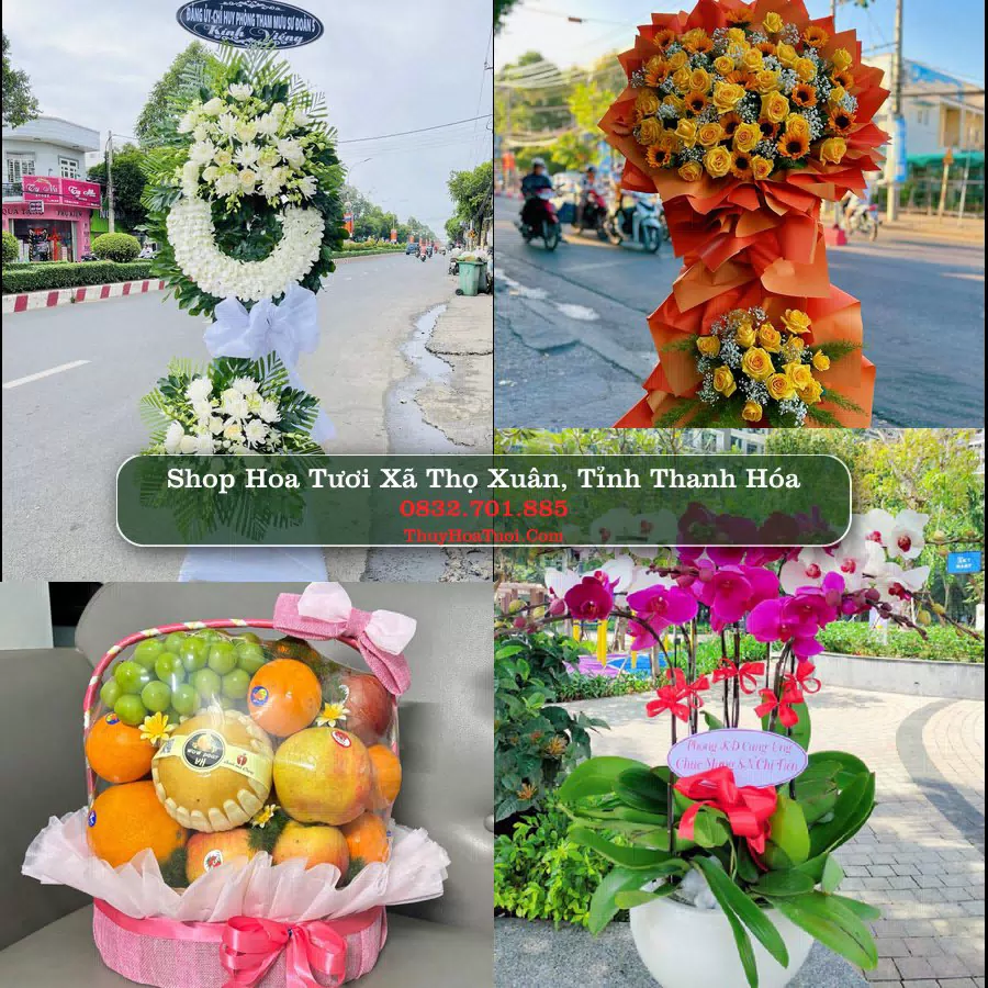 Shop Hoa Tươi Xã Thọ Xuân - Tỉnh Thanh Hóa