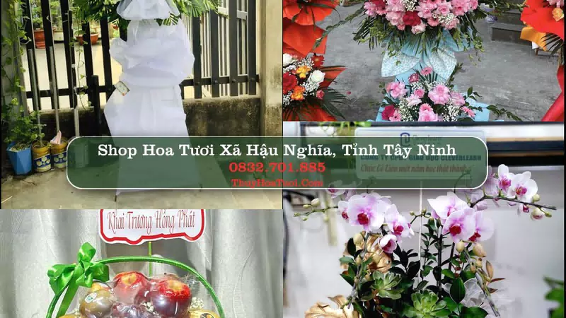 Shop Hoa Tươi Xã Hậu Nghĩa - Tỉnh Tây Ninh