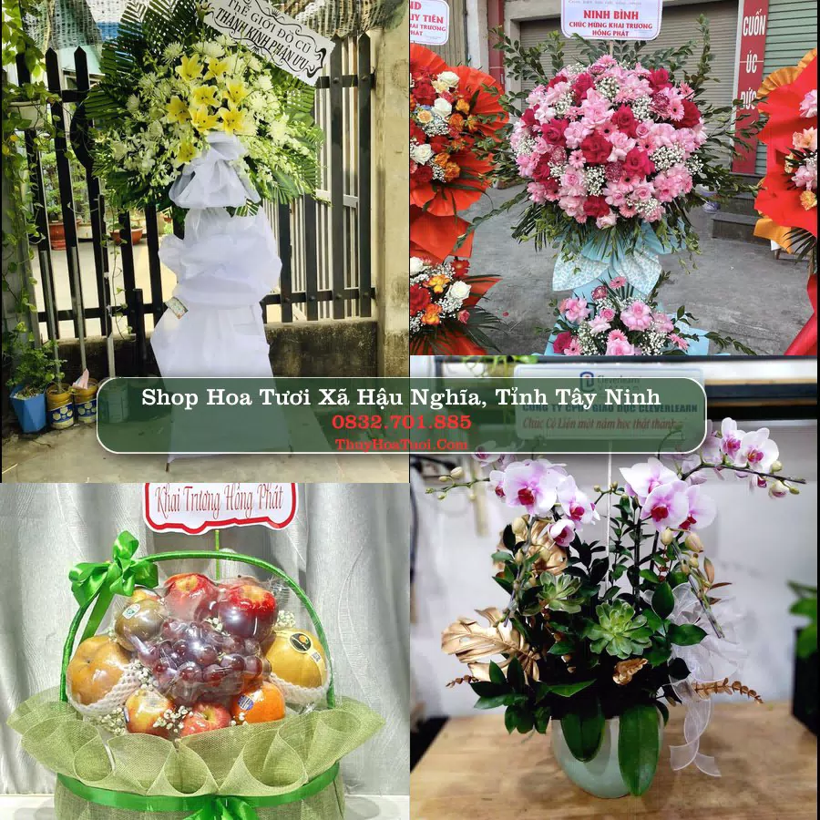 Shop Hoa Tươi Xã Hậu Nghĩa - Tỉnh Tây Ninh