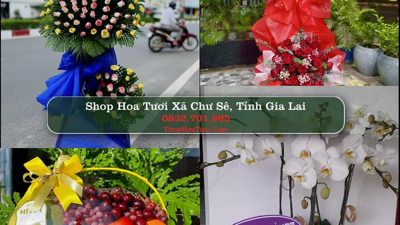 Shop Hoa Tươi Xã Chư Sê - Tỉnh Gia Lai