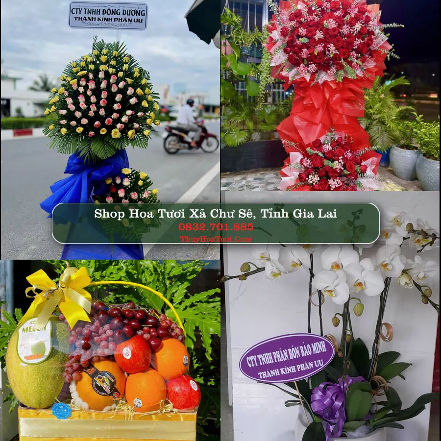 Shop Hoa Tươi Xã Chư Sê - Tỉnh Gia Lai