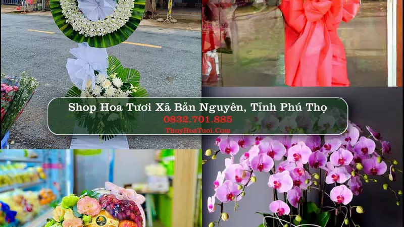 Shop Hoa Tươi Xã Bản Nguyên - Tỉnh Phú Thọ