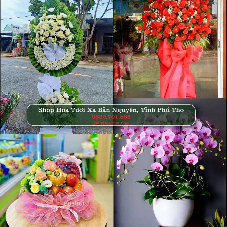 Shop Hoa Tươi Xã Bản Nguyên - Tỉnh Phú Thọ