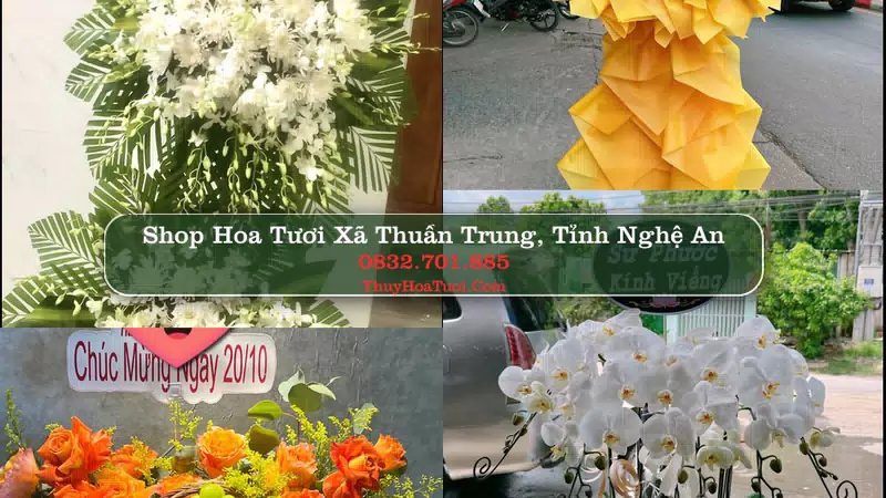 Shop Hoa Tươi Xã Thuần Trung - Tỉnh Nghệ An