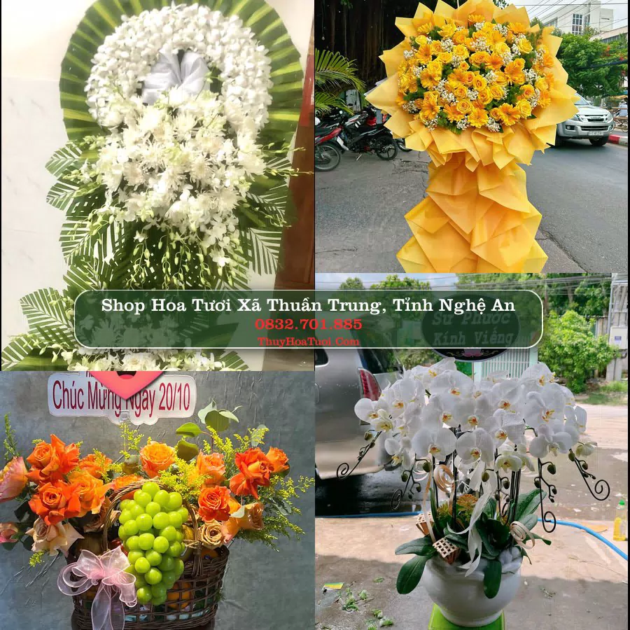 Shop Hoa Tươi Xã Thuần Trung - Tỉnh Nghệ An